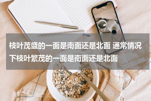 枝叶茂盛的一面是南面还是北面 通常情况下枝叶繁茂的一面是南面还是北面
