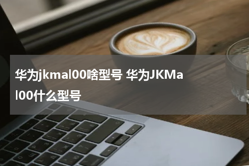 华为jkmal00啥型号 华为JKMal00什么型号