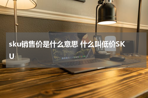 sku销售价是什么意思 什么叫低价SKU