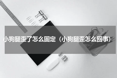 小狗腿歪了怎么固定（小狗腿歪怎么回事）