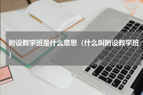 附设教学班是什么意思（什么叫附设教学班）