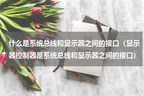 什么是系统总线和显示器之间的接口（显示器控制器是系统总线和显示器之间的接口）