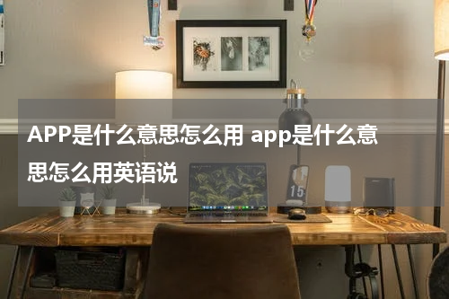 APP是什么意思怎么用 app是什么意思怎么用英语说