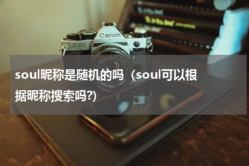 soul昵称是随机的吗（soul可以根据昵称搜索吗?）