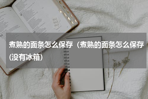 煮熟的面条怎么保存（煮熟的面条怎么保存(没有冰箱）