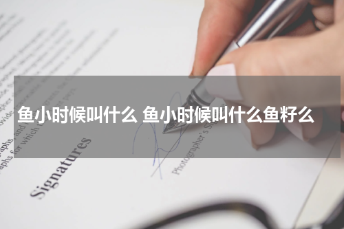 鱼小时候叫什么 鱼小时候叫什么鱼籽么