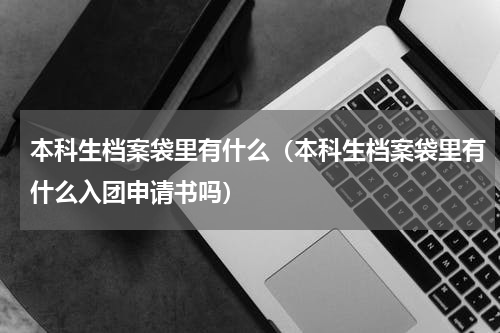 本科生档案袋里有什么（本科生档案袋里有什么入团申请书吗）