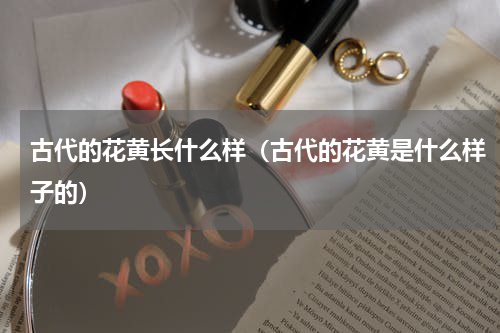 古代的花黄长什么样（古代的花黄是什么样子的）