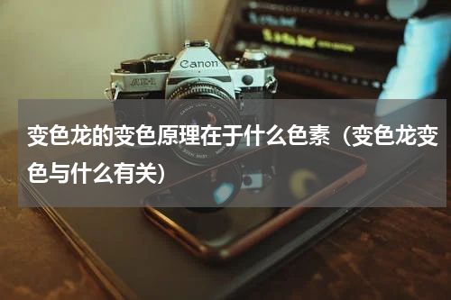 变色龙的变色原理在于什么色素（变色龙变色与什么有关）