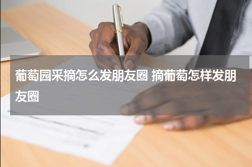葡萄园采摘怎么发朋友圈 摘葡萄怎样发朋友圈