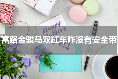 富路金骏马双缸车咋沒有安全带