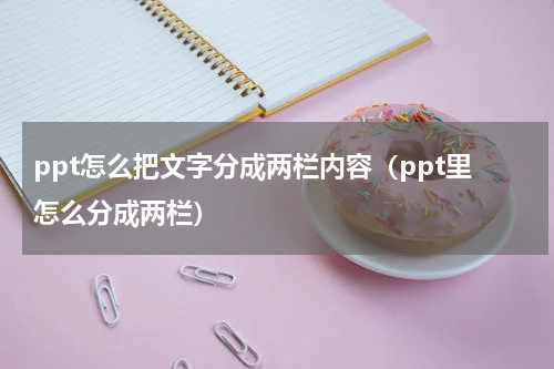 ppt怎么把文字分成两栏内容（ppt里怎么分成两栏）