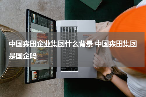 中国森田企业集团什么背景 中国森田集团是国企吗