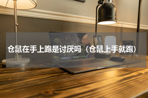仓鼠在手上跑是讨厌吗（仓鼠上手就跑）