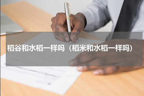 稻谷和水稻一样吗（稻米和水稻一样吗）