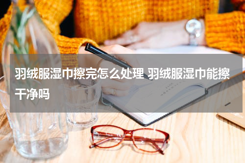 羽绒服湿巾擦完怎么处理 羽绒服湿巾能擦干净吗