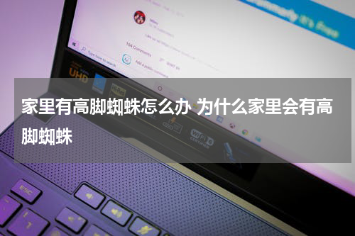 家里有高脚蜘蛛怎么办 为什么家里会有高脚蜘蛛