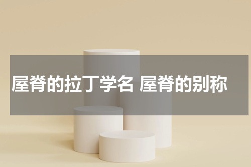 屋脊的拉丁学名 屋脊的别称