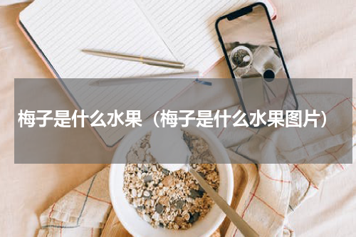 梅子是什么水果（梅子是什么水果图片）