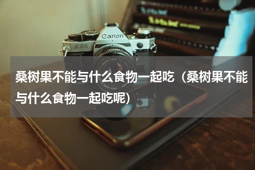 桑树果不能与什么食物一起吃（桑树果不能与什么食物一起吃呢）