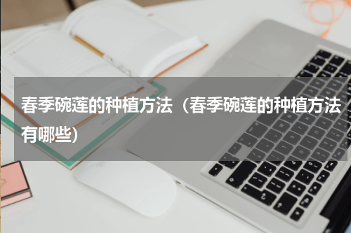 春季碗莲的种植方法（春季碗莲的种植方法有哪些）