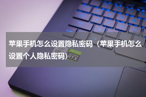 苹果手机怎么设置隐私密码（苹果手机怎么设置个人隐私密码）