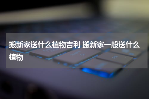 搬新家送什么植物吉利 搬新家一般送什么植物