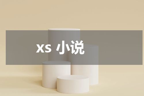 xs 小说