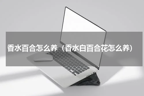 香水百合怎么养（香水白百合花怎么养）