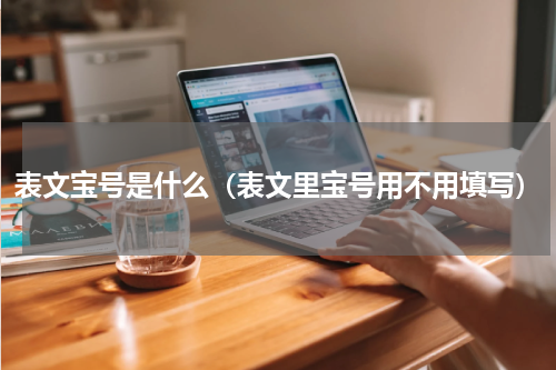 表文宝号是什么（表文里宝号用不用填写）