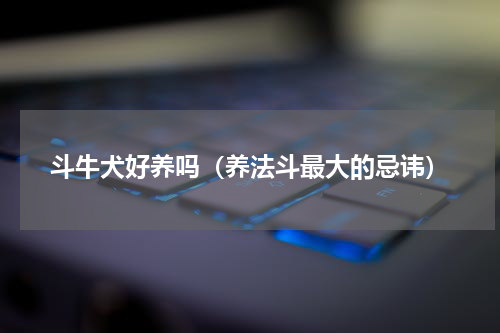 斗牛犬好养吗（养法斗最大的忌讳）