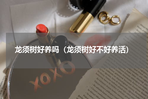 龙须树好养吗（龙须树好不好养活）