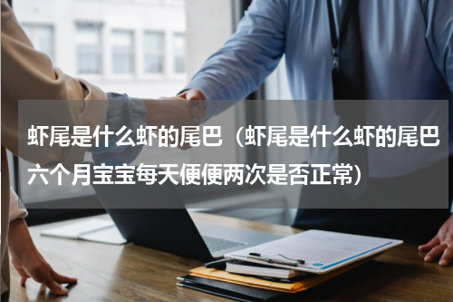 虾尾是什么虾的尾巴（虾尾是什么虾的尾巴六个月宝宝每天便便两次是否正常）