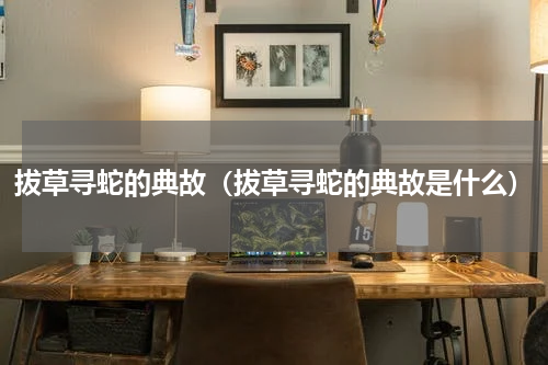 拔草寻蛇的典故（拔草寻蛇的典故是什么）