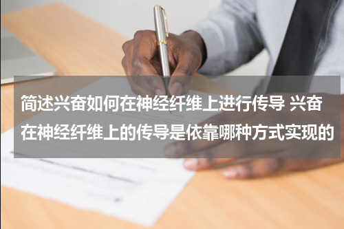 简述兴奋如何在神经纤维上进行传导 兴奋在神经纤维上的传导是依靠哪种方式实现的