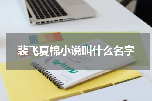 裴飞夏棉小说叫什么名字