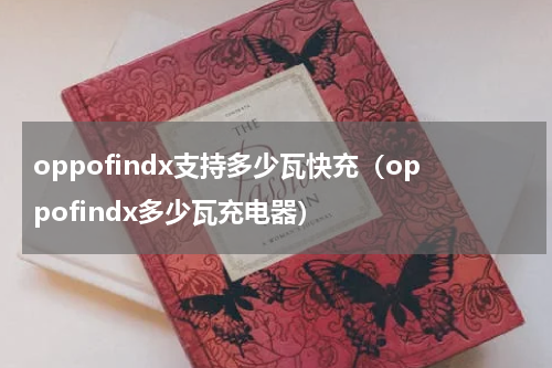 oppofindx支持多少瓦快充（oppofindx多少瓦充电器）