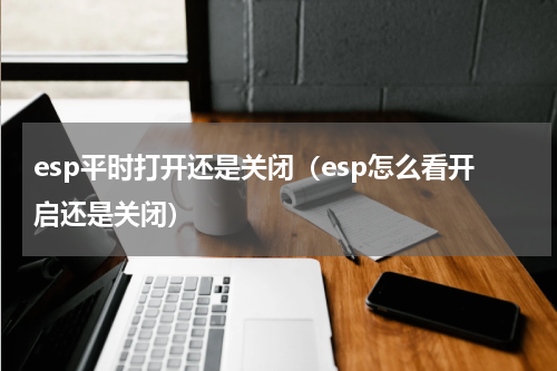 esp平时打开还是关闭（esp怎么看开启还是关闭）