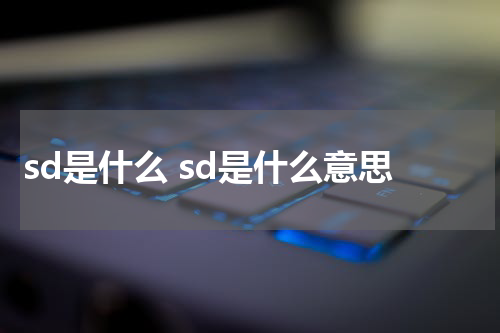 sd是什么 sd是什么意思