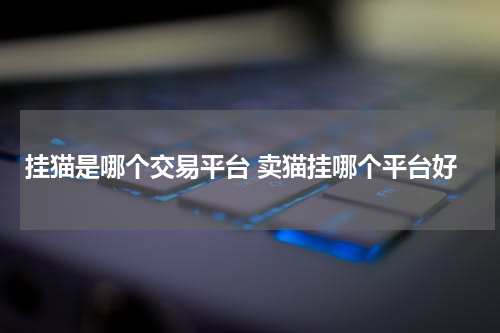 挂猫是哪个交易平台 卖猫挂哪个平台好