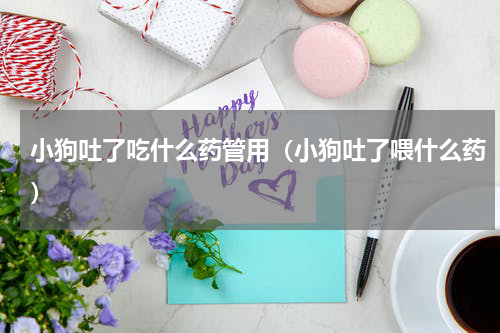 小狗吐了吃什么药管用（小狗吐了喂什么药）