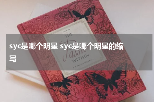 syc 是什么意思哇