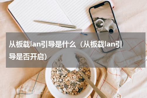 从板载lan引导是什么（从板载lan引导是否开启）