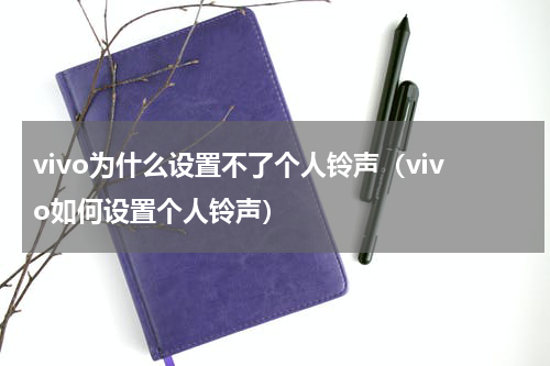 vivo为什么设置不了个人铃声（vivo如何设置个人铃声）
