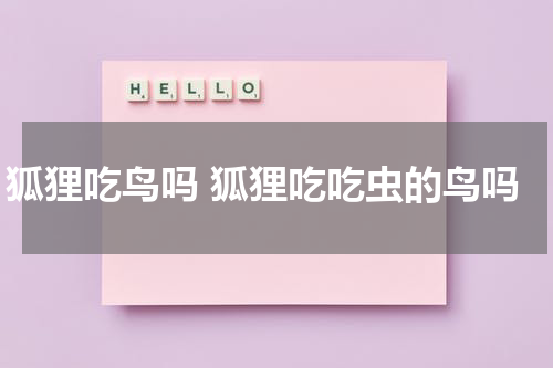 狐狸吃鸟吗 狐狸吃吃虫的鸟吗