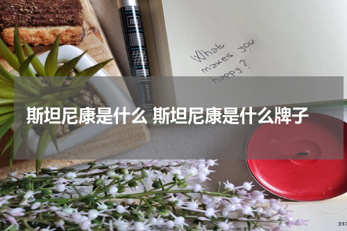斯坦尼康是什么 斯坦尼康是什么牌子