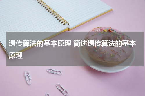 遗传算法的基本原理 简述遗传算法的基本原理