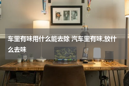 车里有味用什么能去除 汽车里有味,放什么去味