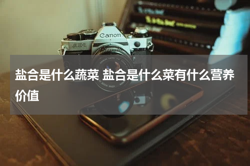 盐合是什么蔬菜 盐合是什么菜有什么营养价值