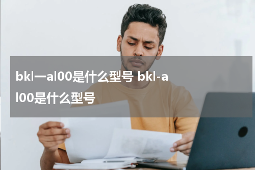 bkl一al00是什么型号 bkl-al00是什么型号